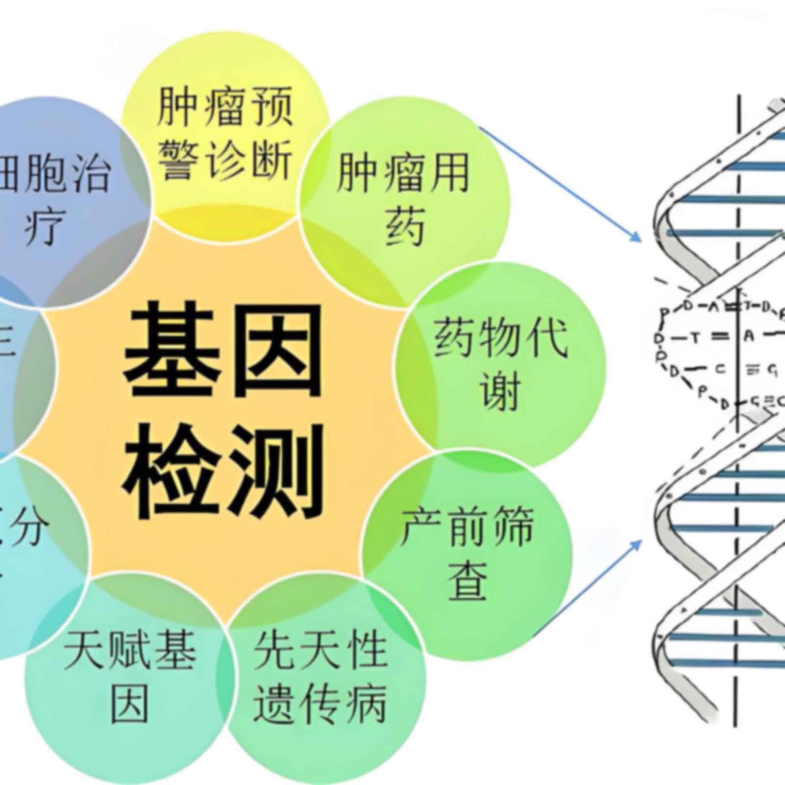 惠州博罗移民亲子鉴定哪家医院可以做